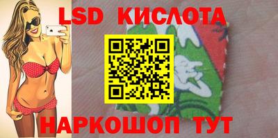 индика Партизанск