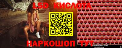 индика Партизанск