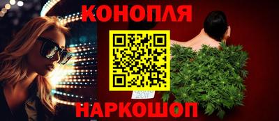 индика Партизанск