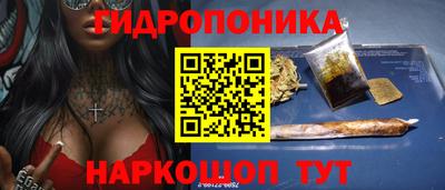 индика Партизанск